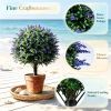 2 Pack Artificial Lavender Boxwood Topiary Ball Trees Greenery Topiaries with Ground Spikes for Home Decor